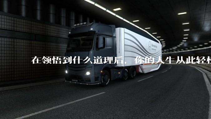 在领悟到什么道理后，你的人生从此轻松了起来？
